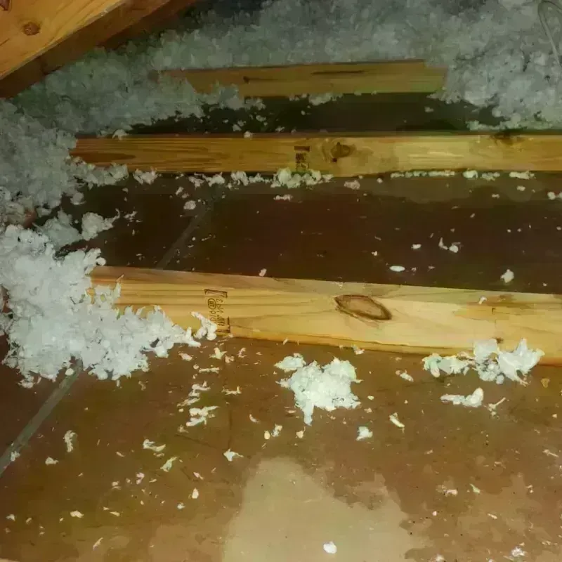 Attic Water Damage in Clarendon, TX