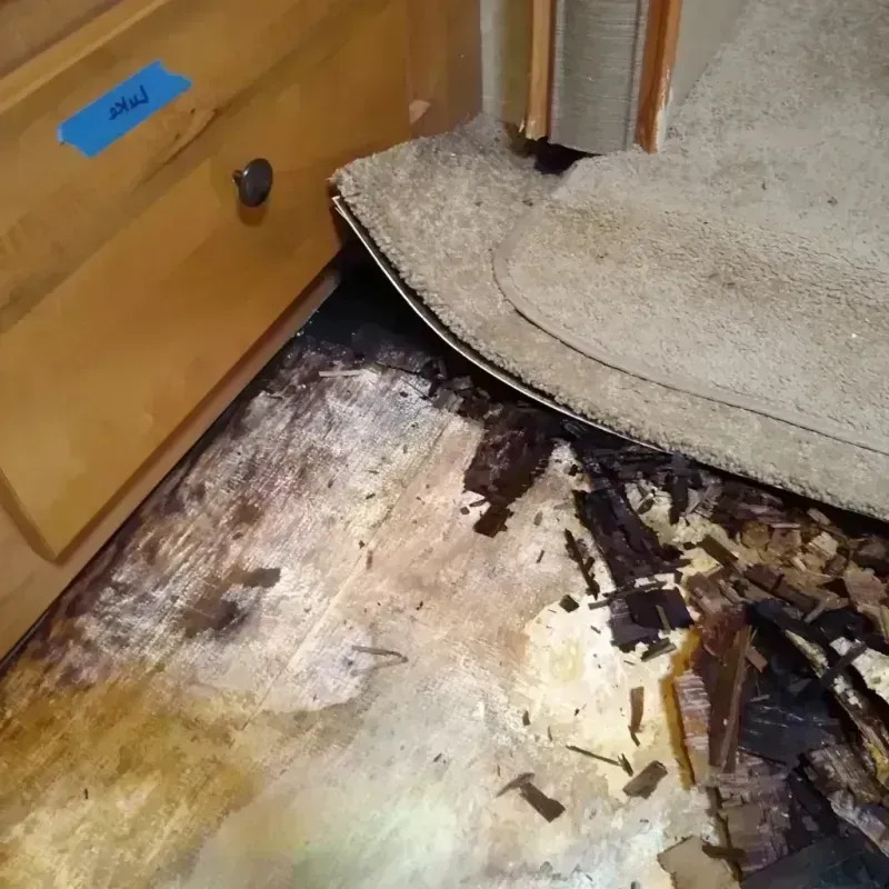 Wood Floor Water Damage in Clarendon, TX